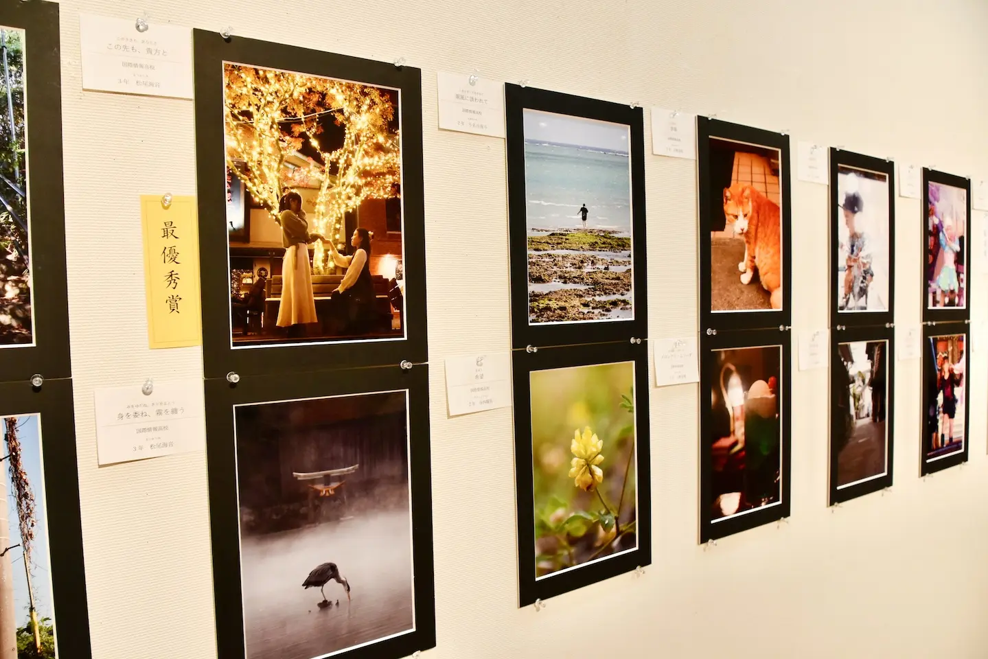 県高校文化連盟写真中央展　一枚に宿る情熱と青春の記録　【大分県】