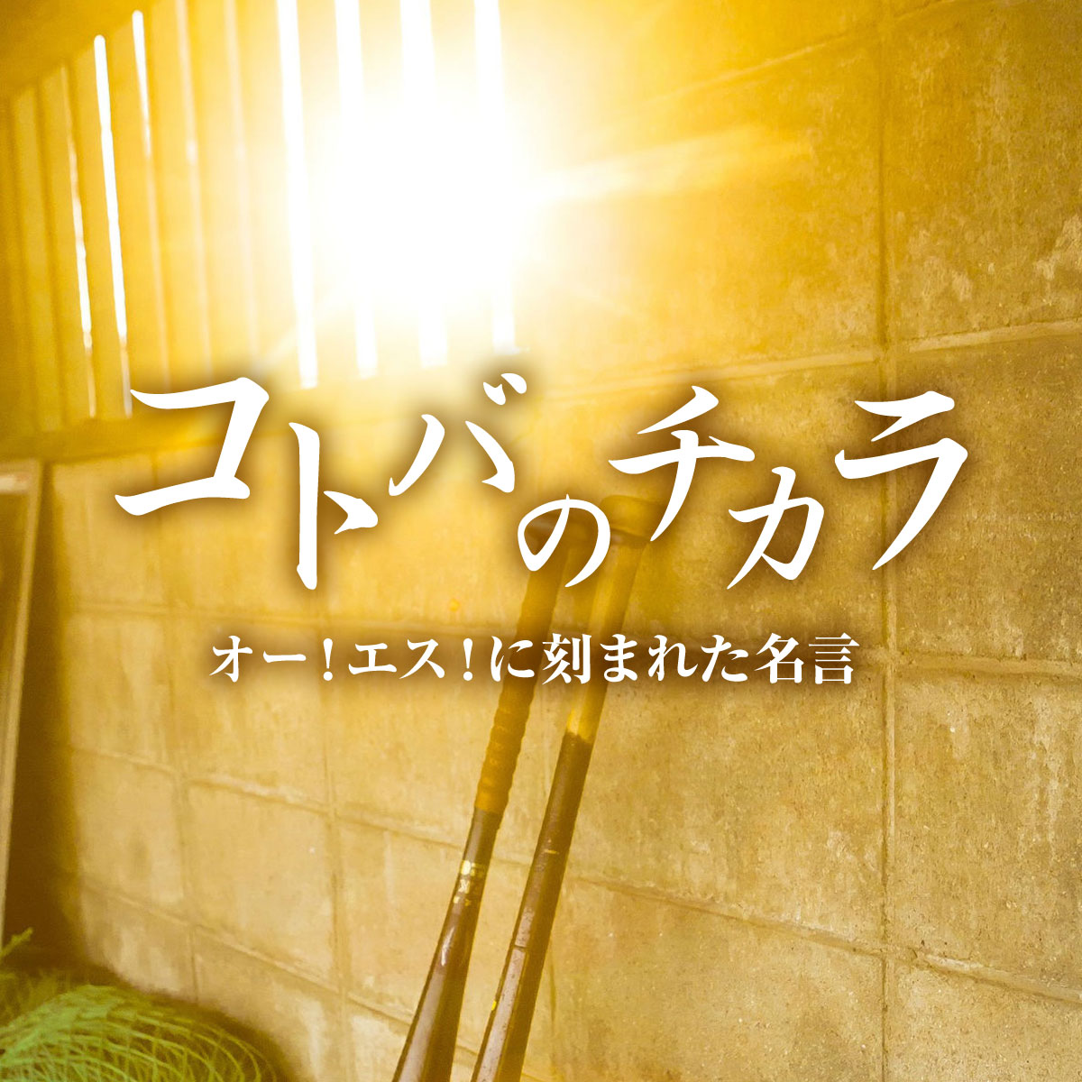 オー！エス！に刻まれた名言　＃007