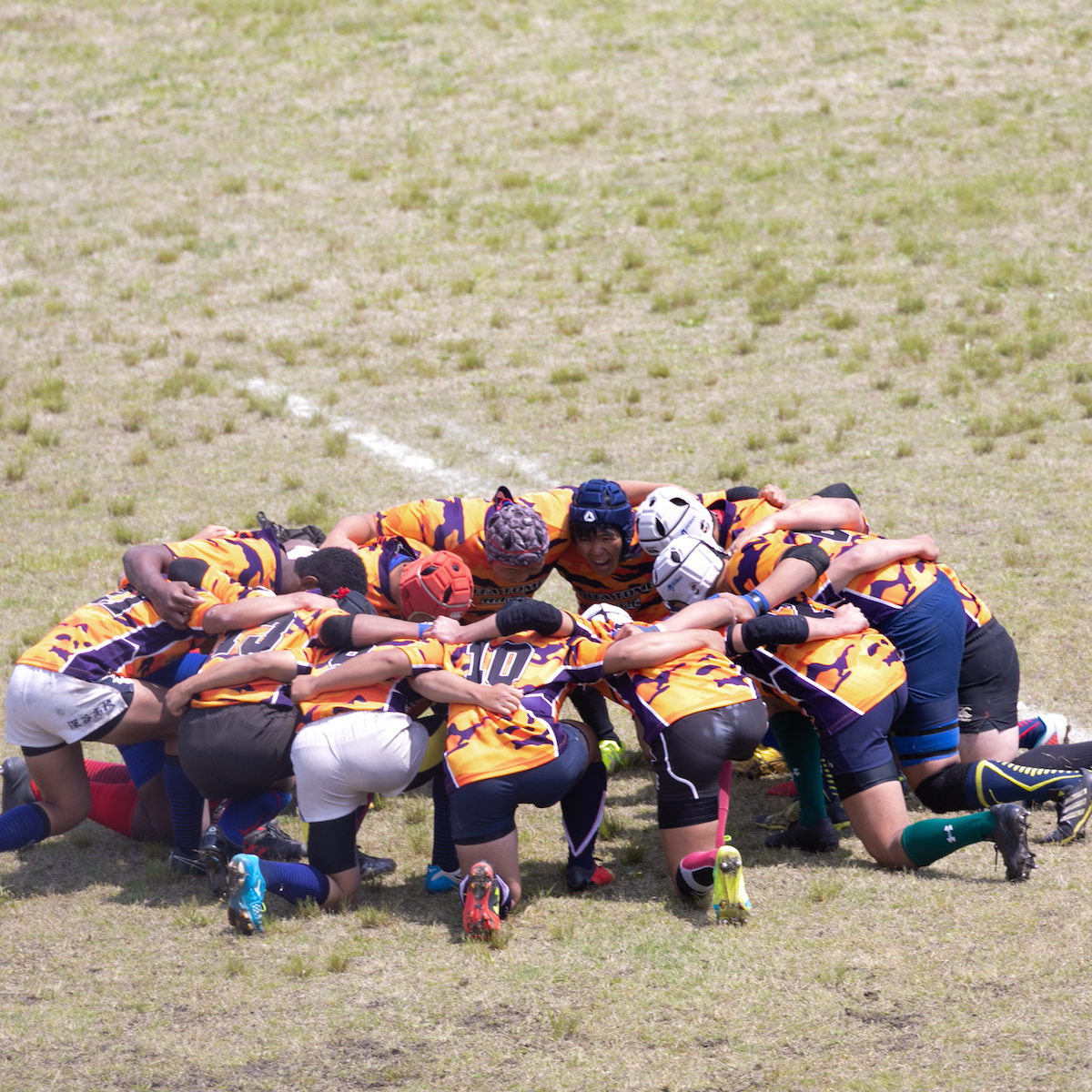 大分東明高校　セブンズ優勝の勢いを15人制に持ち込む