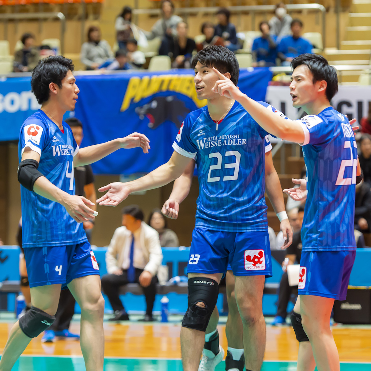 三好ヴァイセアドラー　リーグ戦１巡目総括　少しずつ形になりつつある