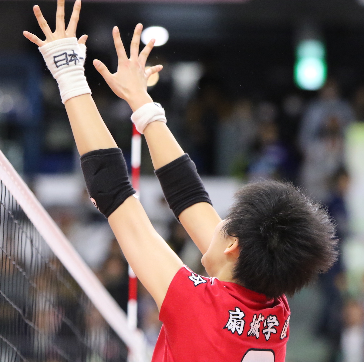 春の高校バレーレポート　　東龍バレーを刻む