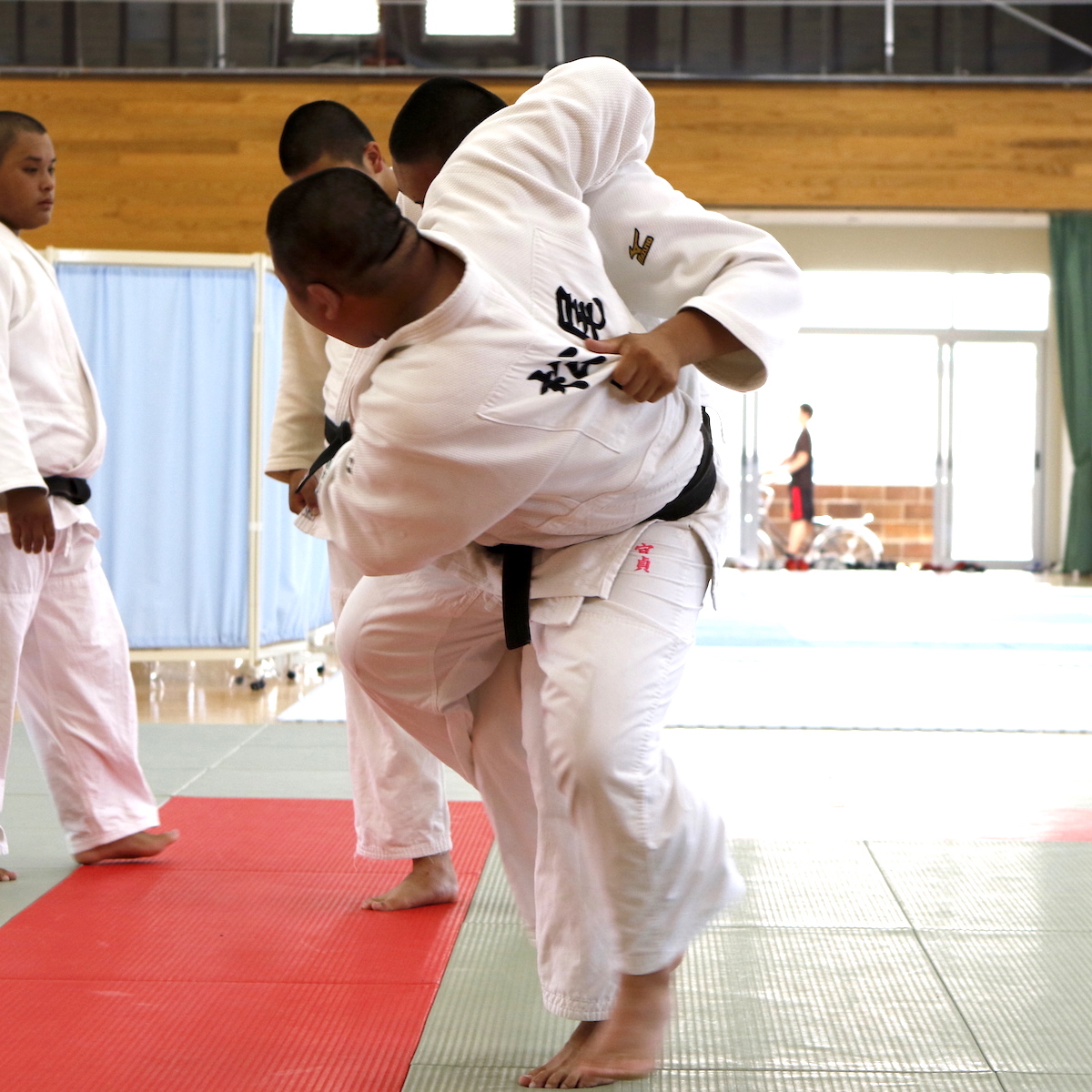 柔道　高田高校　積み上げた練習が59年ぶりの優勝に