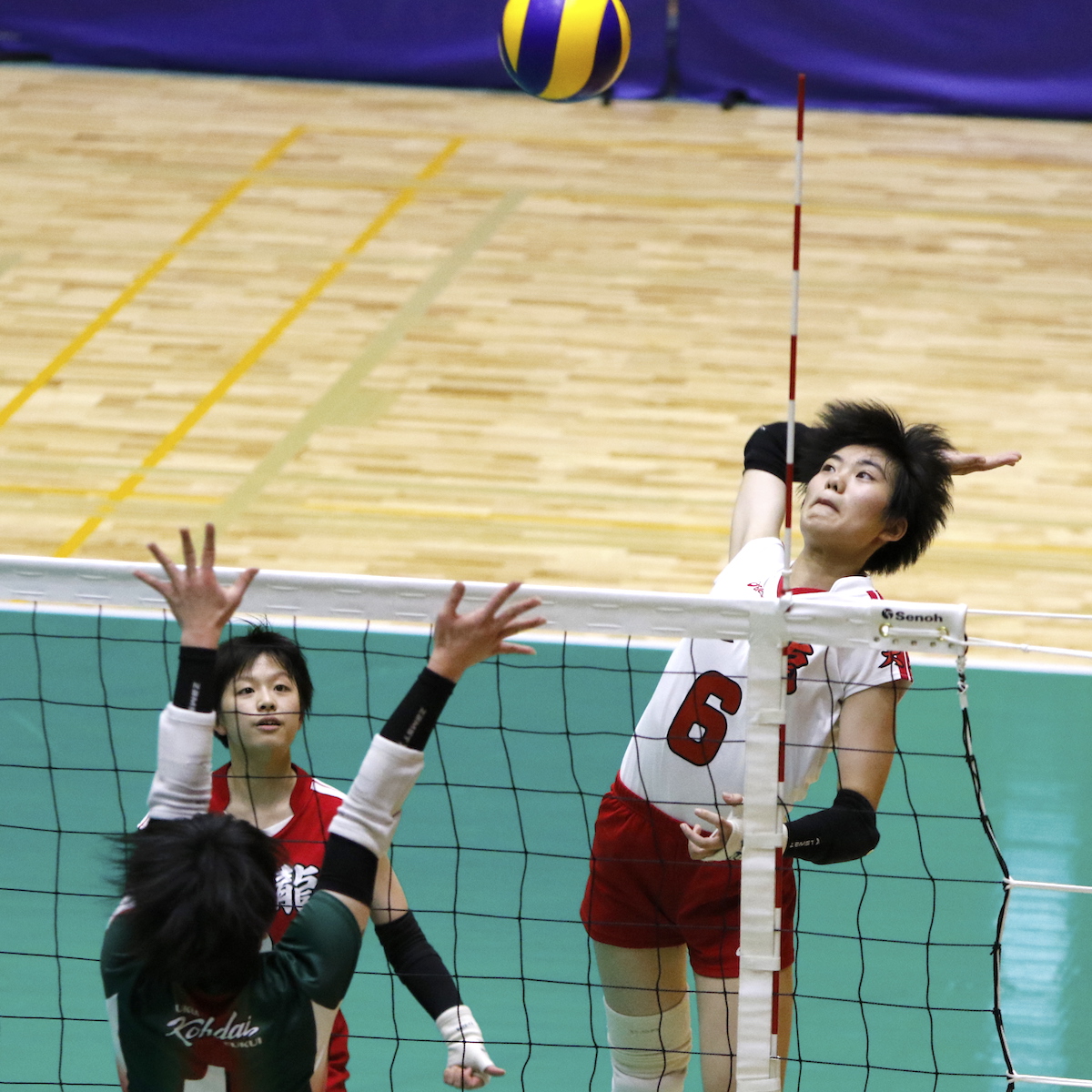 バレーボール女子　悔しさをバネに東龍が再起を図る　全国高校総体2019