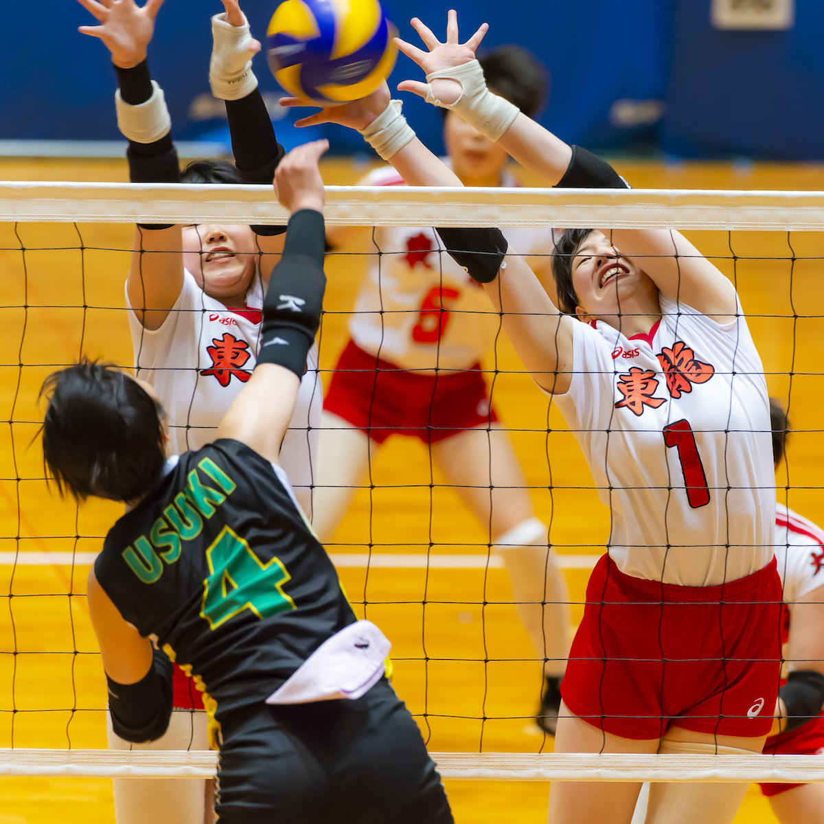春の高校バレー女子県予選展望　盤石の女王・東龍を追え！