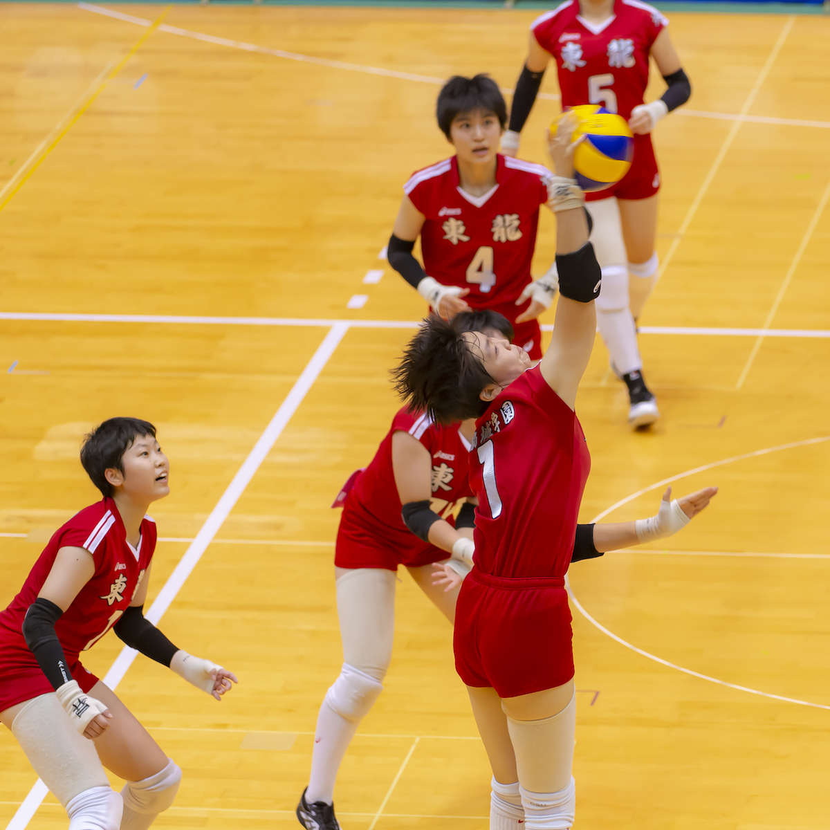 春の高校バレー　女子・東龍　チーム力は急上昇、狙うは日本一のみ
