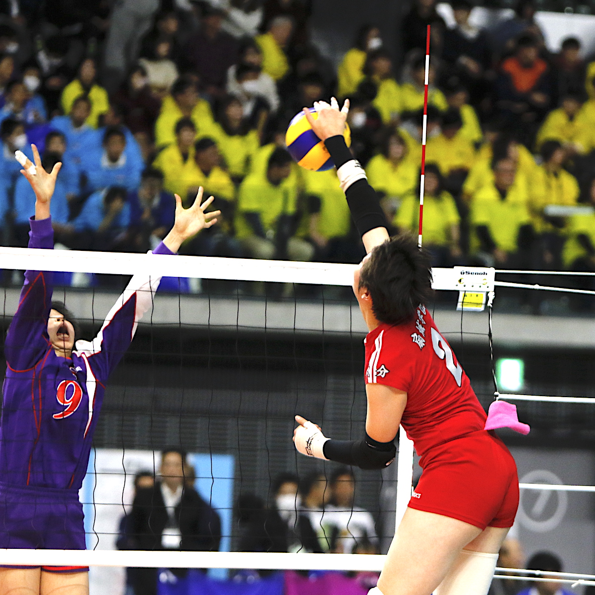 春の高校バレー　一枚岩となった３年生が引っ張る東龍　日本一まで、あと2つ
