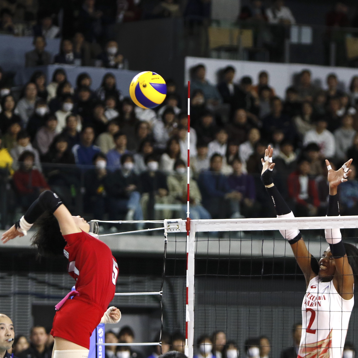 春の高校バレー　東龍が８年ぶり優勝　受け継がれる伝統の精神