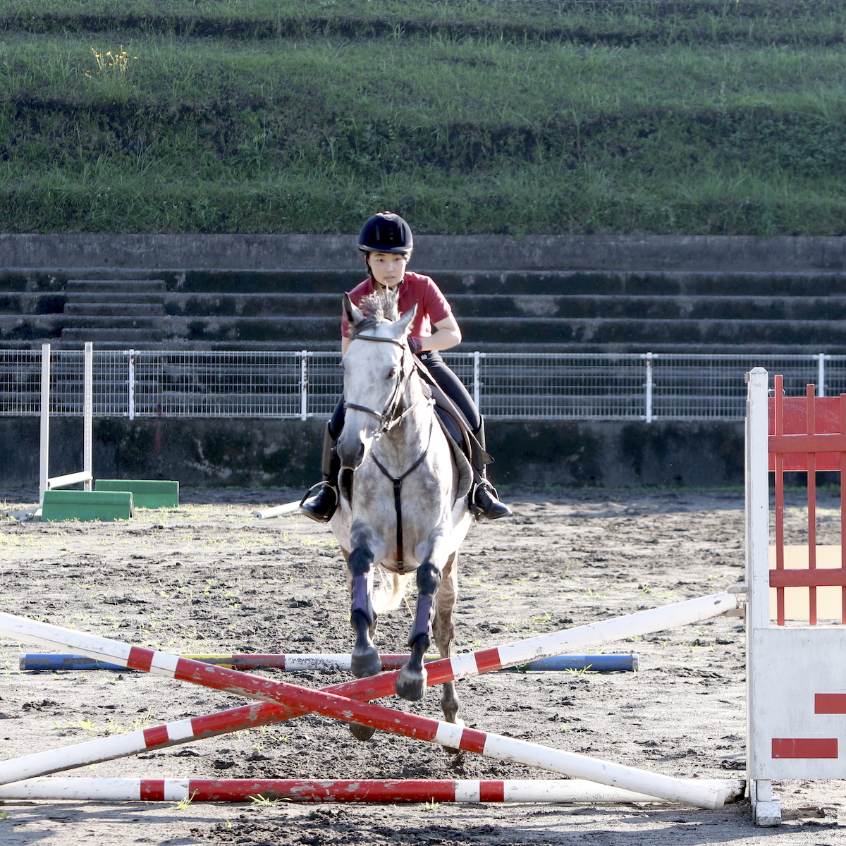 #スポーツのチカラ　県高校総体直前特集　馬術