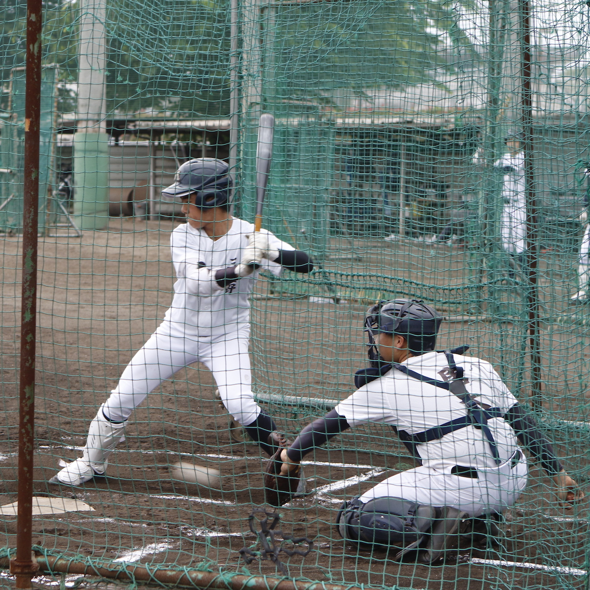 明日から始まる県高校野球大会　３年生の思いが勝利を導く