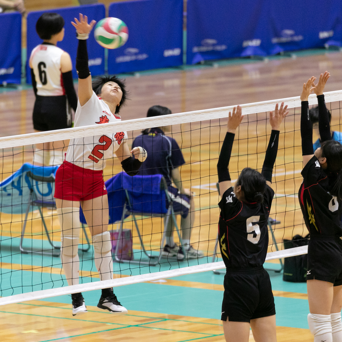 #スポーツのチカラ　県高校総体　バレーボール女子　日本一へ向けて東龍が好スタート