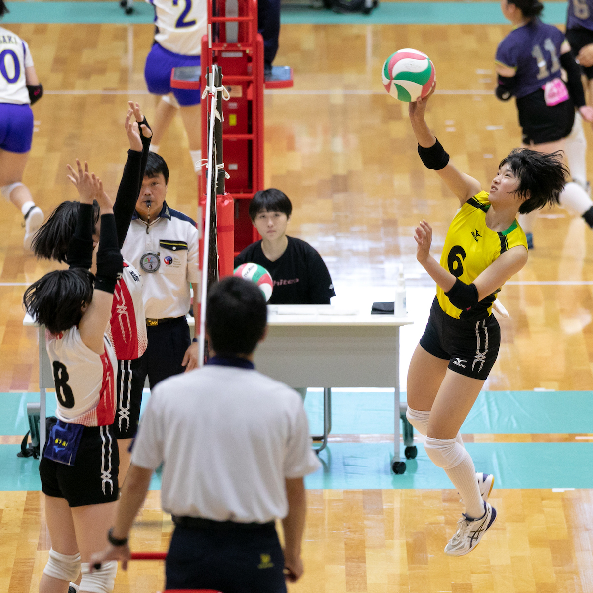 #スポーツのチカラ　県高校総体　バレーボール女子　新生臼杵のスタートはこれから