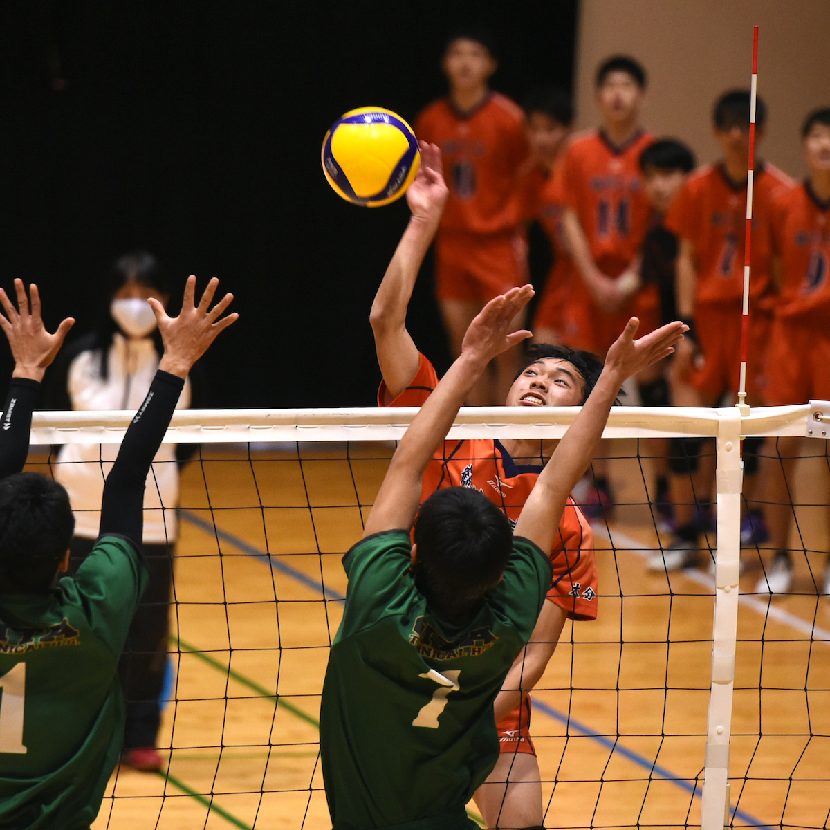 県高校新人大会　バレー男子　準優勝の鶴崎工業、高い攻撃力に屈す