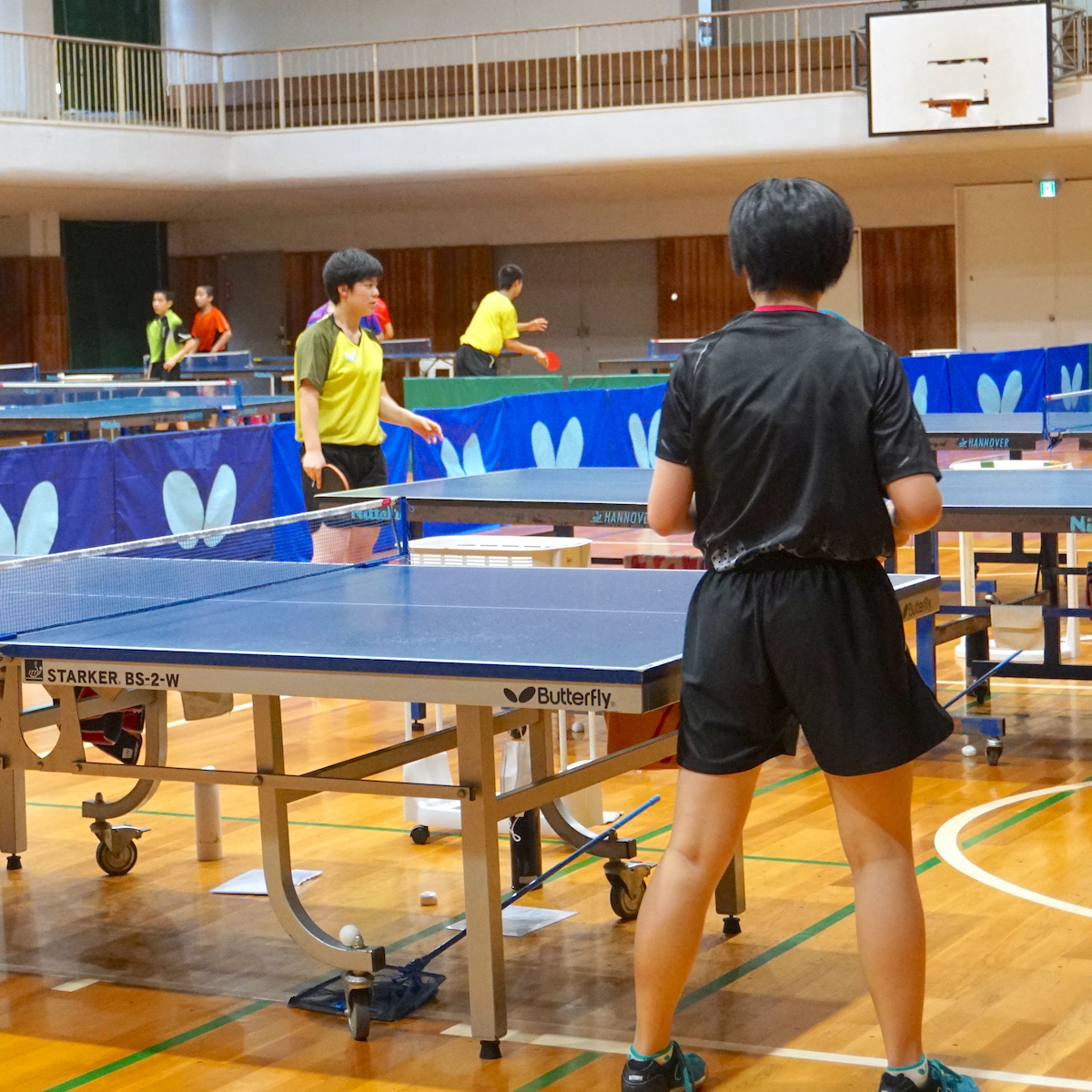 夏の主役たちvol.11　卓球女子　細部の技術にこだわりベスト８を狙う明豊