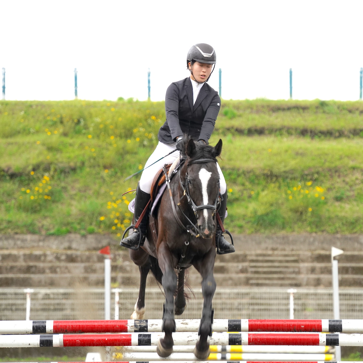 県高校総体　馬術　３競技で野上真生（三重総合）が優勝