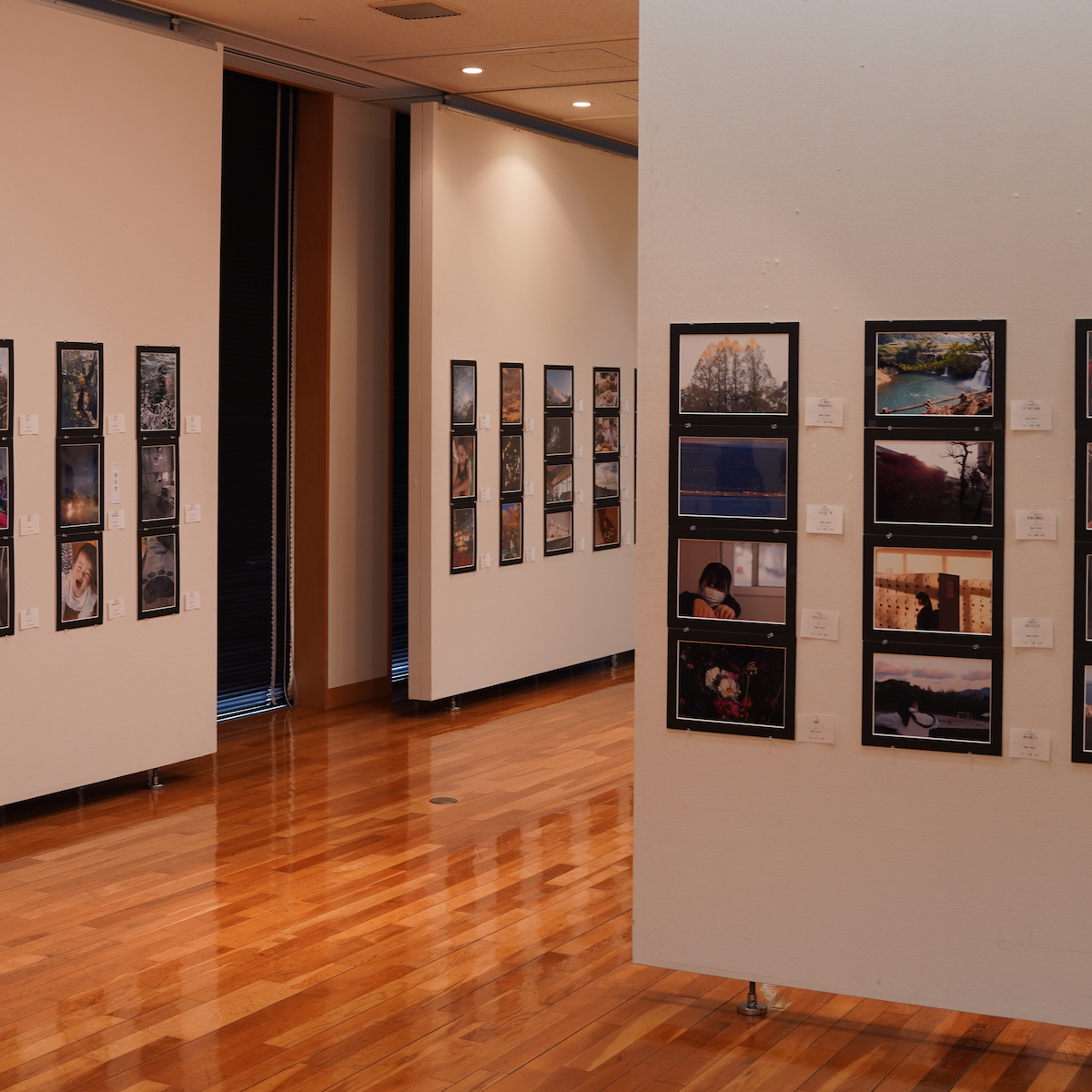 県高校文化連盟写真中央展　感性豊かな写真266点が出展　【大分県】