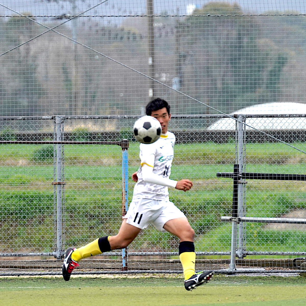 県高校新人大会　サッカー男子　無失点優勝の柳ケ浦が県内４冠を目指す　【大分県】