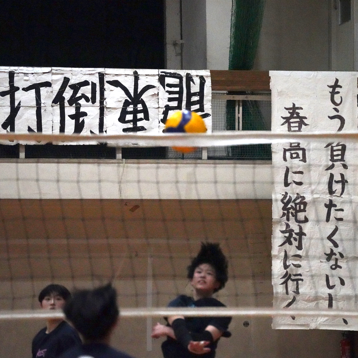 春の高校バレー県予選前特集　女子（１）　打倒・東龍へ、大分商業が王座を目指す　【大分県】