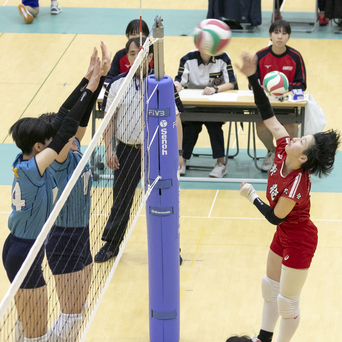 全九州バレーボール総合選手権大会県予選　男子は大分南、女子は東九州龍谷が優勝　【大分県】