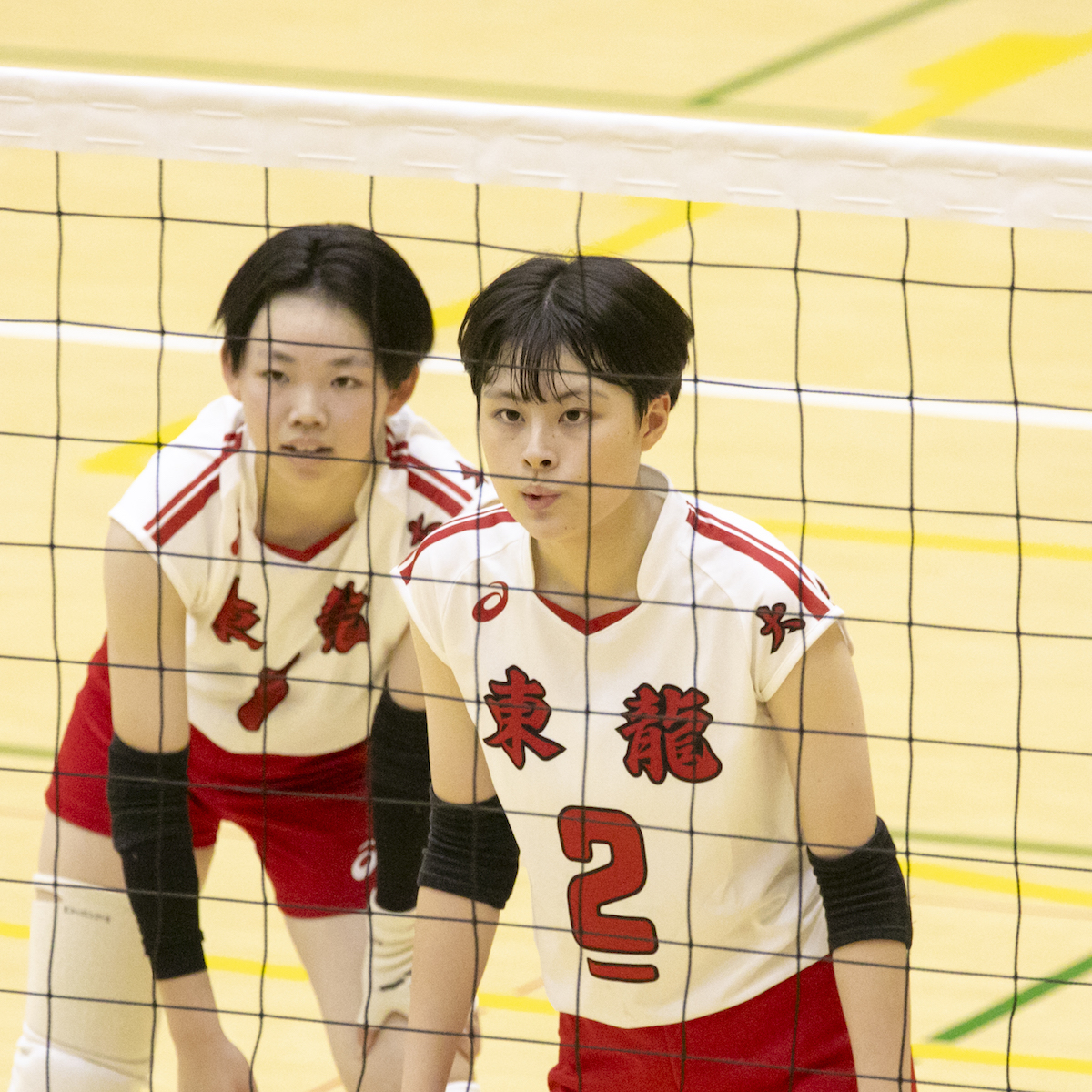 全日本バレーボール選手権大会九州ブロック　大学勢を倒し、東九州龍谷がファイナルラウンド進出　【大分県】