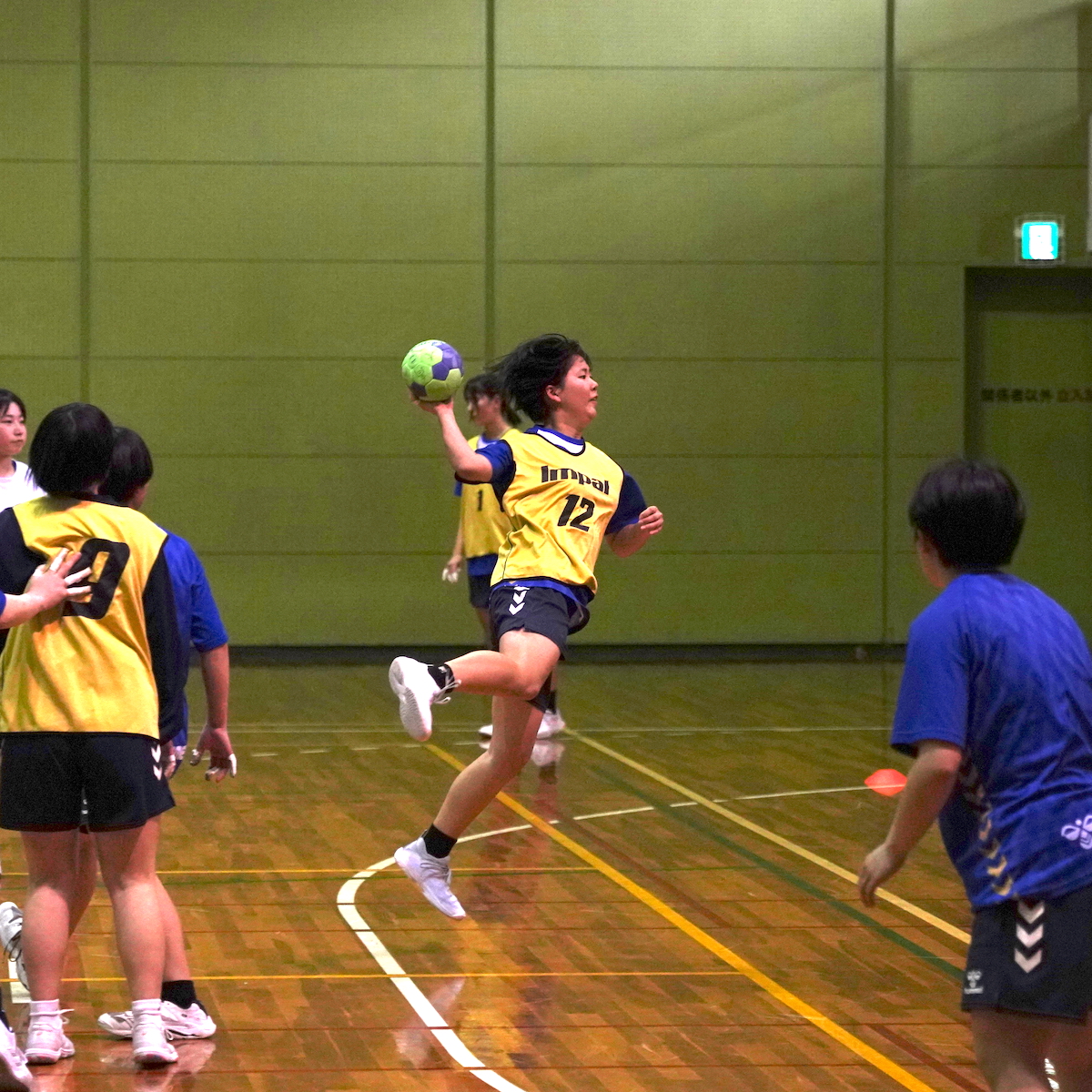 全国高校選抜大会　ハンドボール女子　地元の誇りを胸に全国に挑む大分　【大分県】